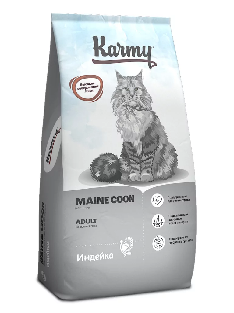 06 maine coon adult