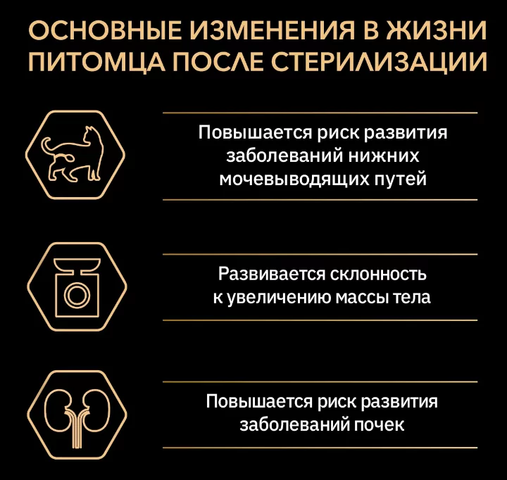 Изображение — 10 10