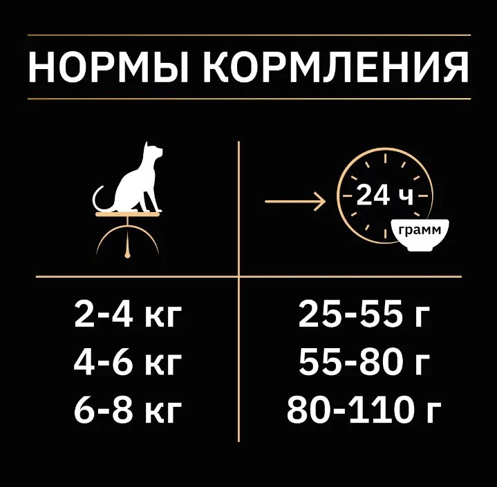 Изображение — 11 11