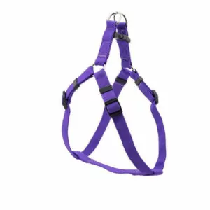 ШЛЕЙКА RP031415 ЕВРО НЕЙЛОН XS 42-48СМ*43-52СМ