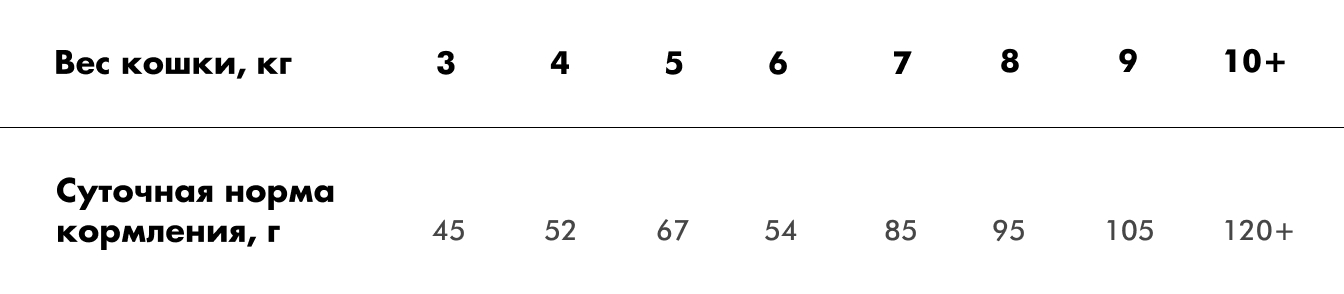 Изображение — main coon adult норма Main coon adult норма