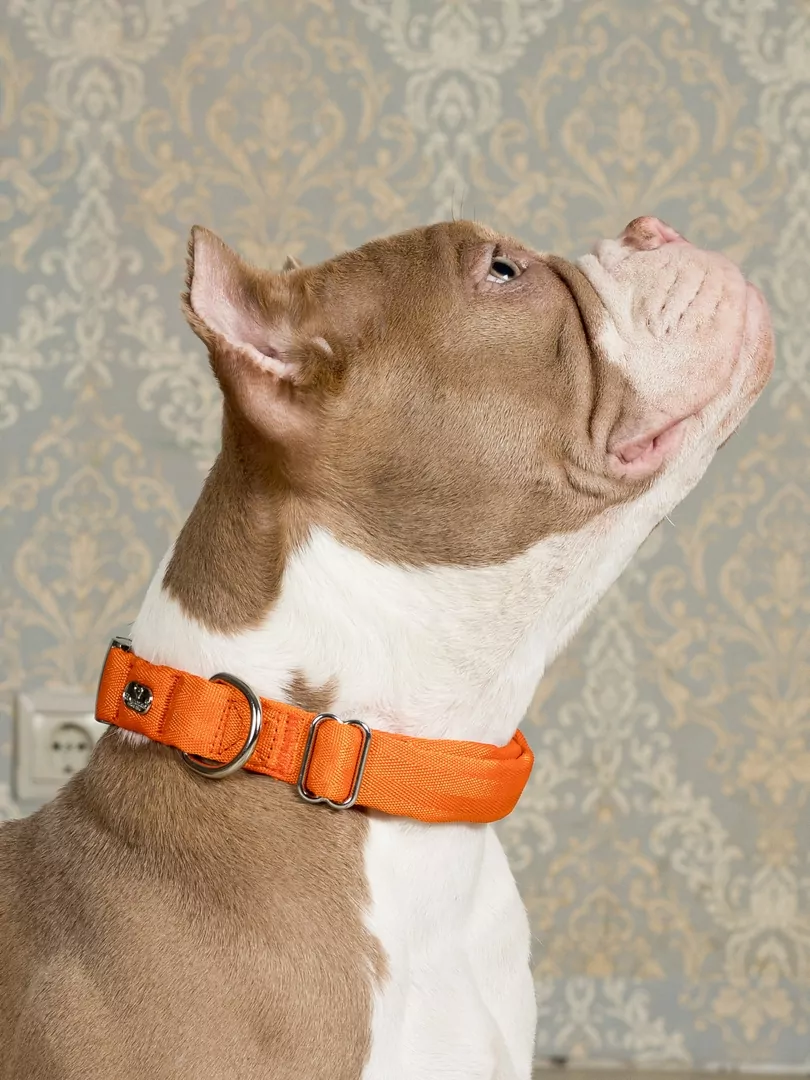 itxbqk5lg7x1z7p1qbic4qyhs2oljxmq