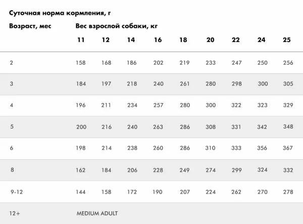 Medium junior норма