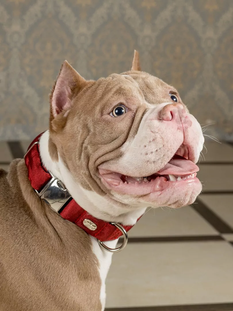 rr3wl6zp5on19oz5wofcvkuqhovhvzrs