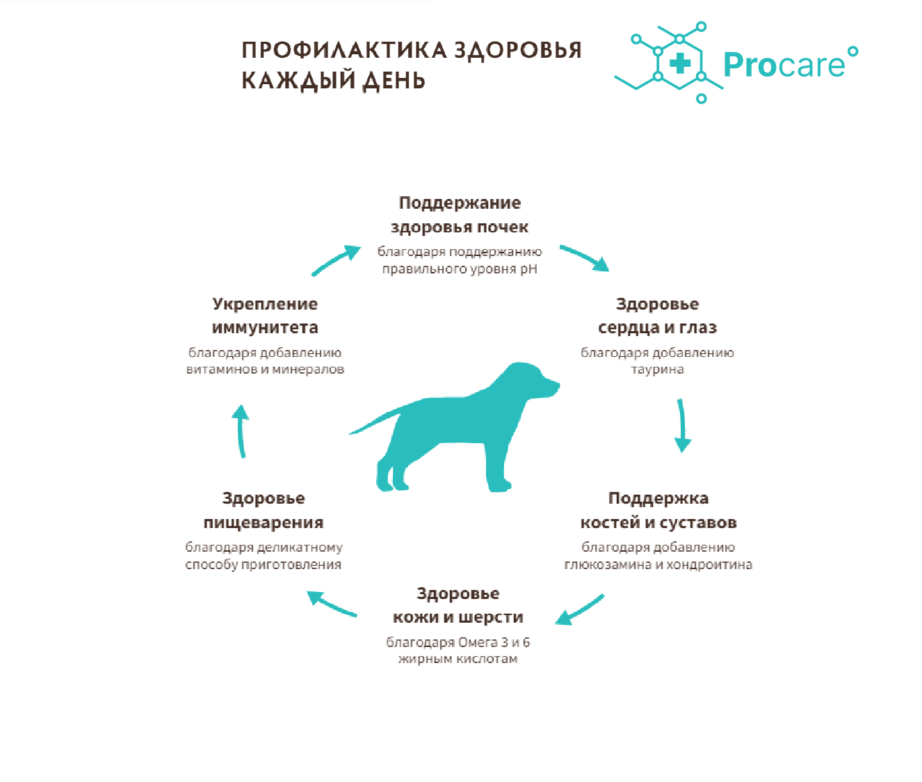 Юниор рекомендации