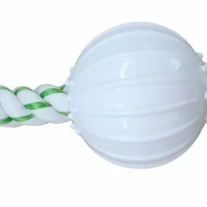 CanineClean игрушка для собак Канат 25 см с нейлоновым мячом с ароматом мяты (24)
