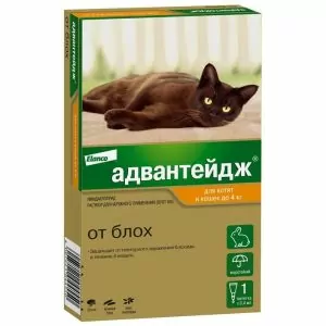 1ПИПЕТКАBayer: Адвантейдж 40 капли (4пип) п/паразит. до 4кг д/кошек