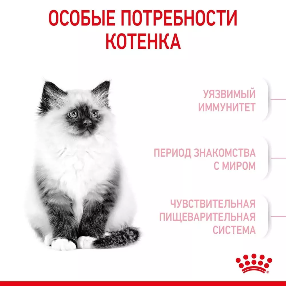 7ieemwvty8x1sidwe3r3z1fs3miw5drc.jpg