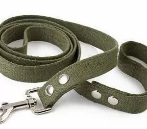 Поводок (Лаурон) 25мм*3м брезентовый зеленый