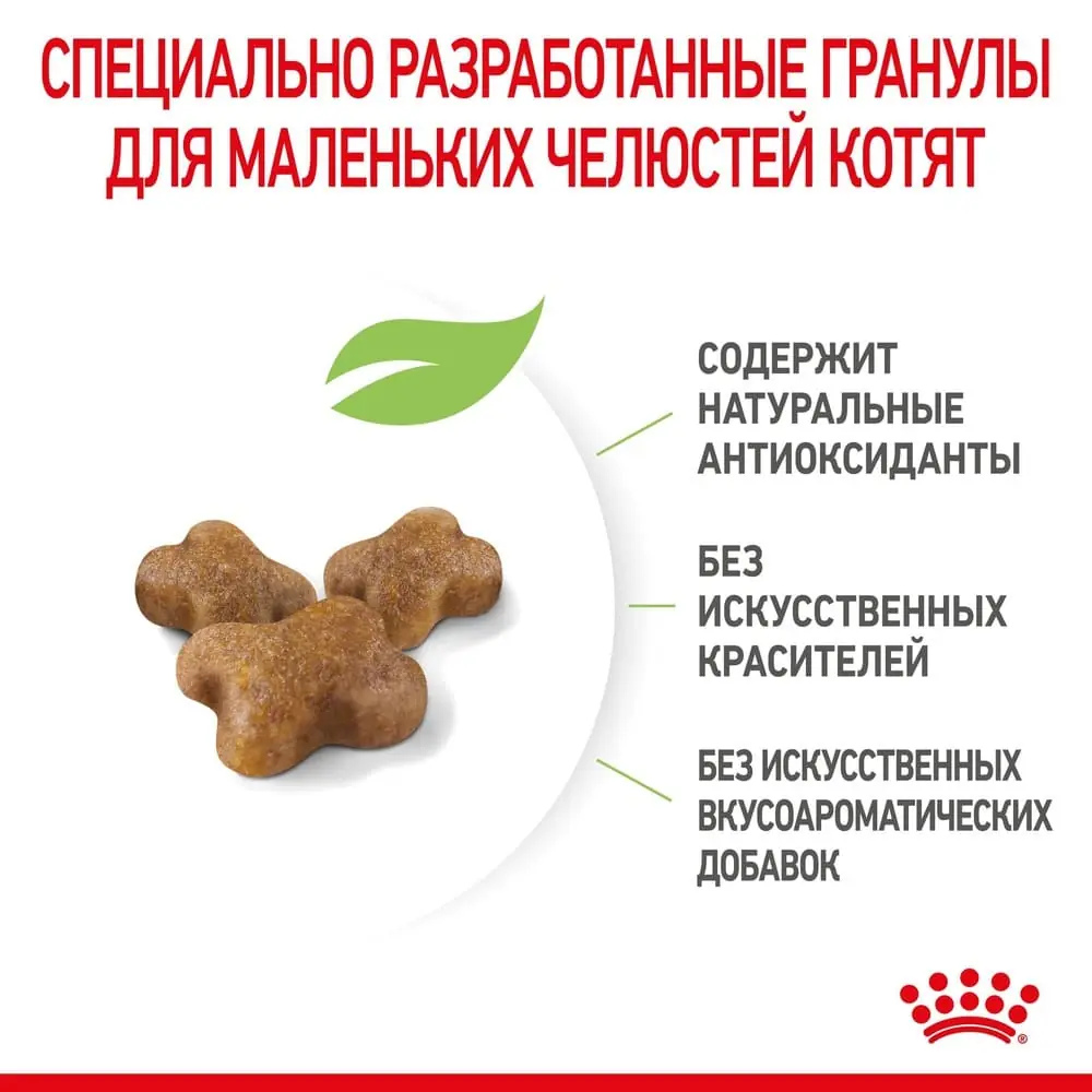 h6pdatscu2sn2kgnkavufybso5vzhwmm.jpg
