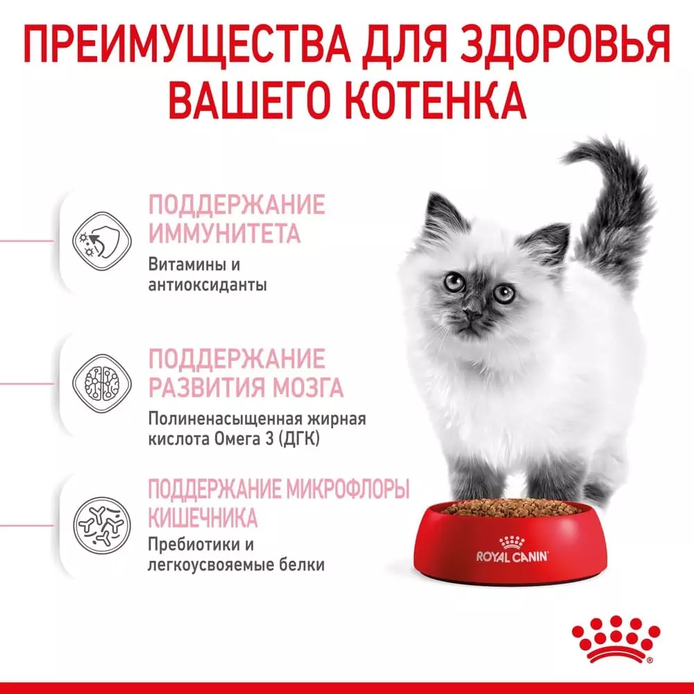 k1ha0v2kvzpzowlrw9i6bikb5hlan2pk.jpg