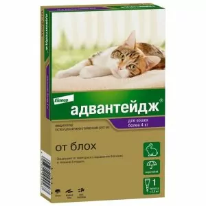 1ПИПЕТКАBayer: Адвантейдж 80 капли (4пип) п/паразит. более 4кг д/кошек