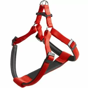 ШЛЕЙКА Ferplast Daytona Medium КРАСНЫЙ 75577922