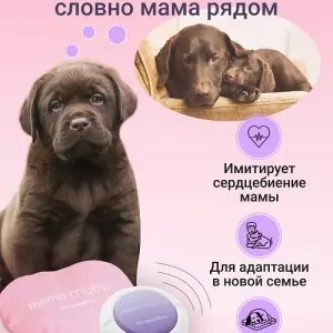 Подушка-антистресс для тревожных щенков/котят, разлученных с мамой (Мама Ритм)